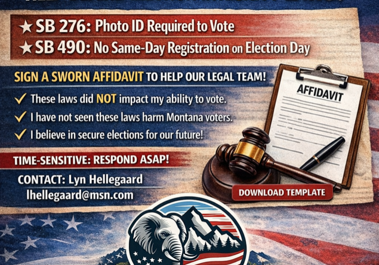 election-integrity-defense