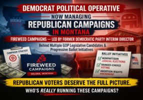 fireweed-memo-graphic-horizontal